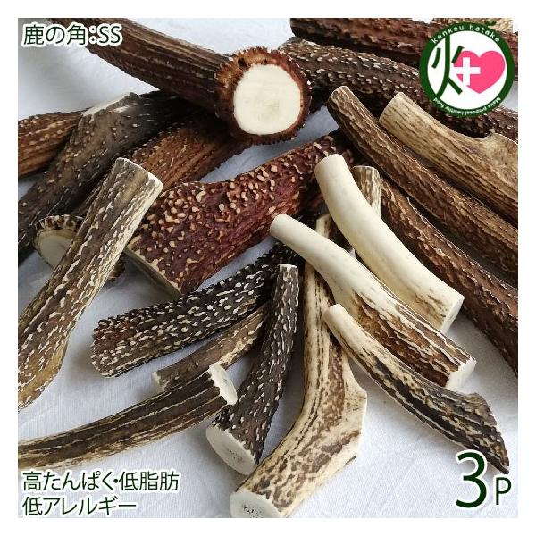 {B̊p SSTCY×3P AñWrG RR Ɍ lC yY i`ybgt[h XgX JVEێ