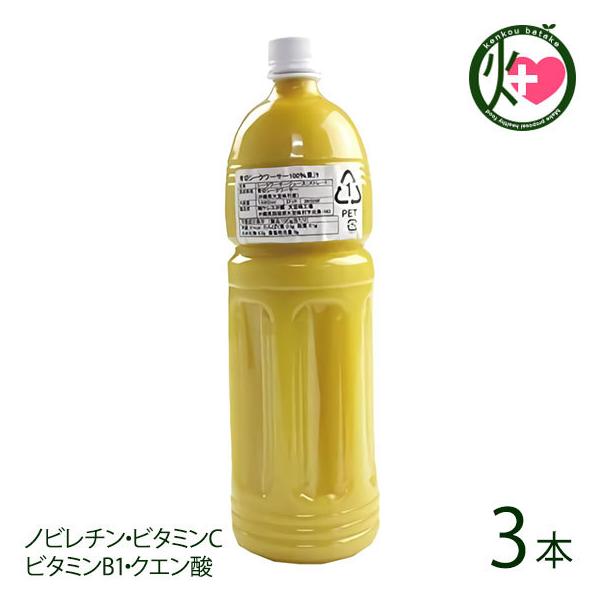 XY ؂V[N[T[ 100ʏ` 1480ml×3{ PX lC yY Xg[gW[X mr` r^~C NG_