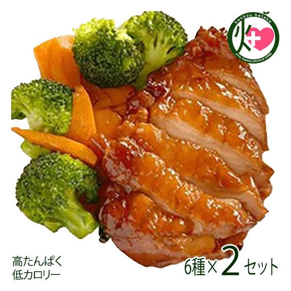 ̃t[c\[X`LXe[LƋȂ狏`L 6×2Zbg y 挧 yY y { ς J[