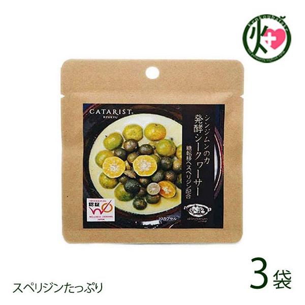 VW̗ yV[N[T[ 10JvZ×3P TCY ₦ ΍ ۂۂ N ₦΍ ̉ƒ̈w mr`