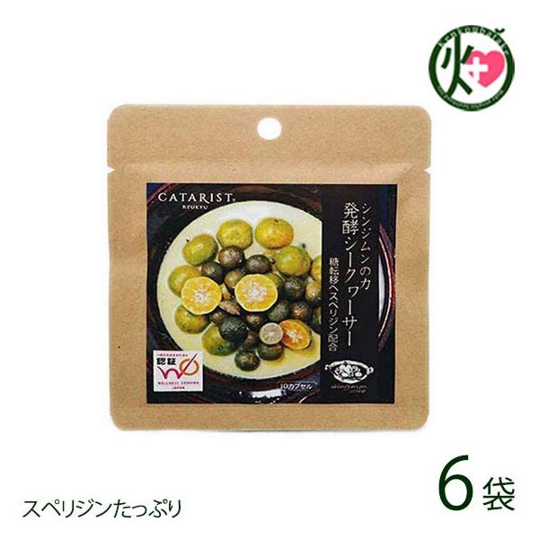 VW̗ yV[N[T[ 10JvZ×6P TCY ₦ ΍ ۂۂ N ₦΍ ̉ƒ̈w mr`