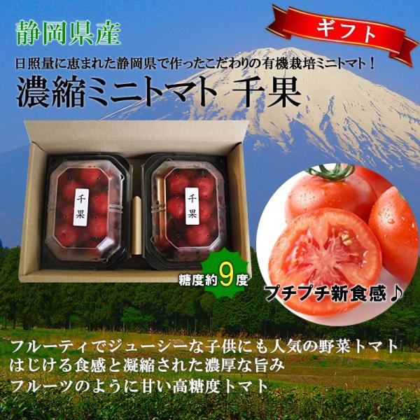 静岡県産 千果 濃縮ミニトマト 千果 ちか 有機栽培 0g 2p 5箱 リコピン 有機栽培 産直 お取り寄せ ギフト ギフト 贈り物 条件付き送料無料 Kwmy Tomat 0400 Gf 005 けんこう畑