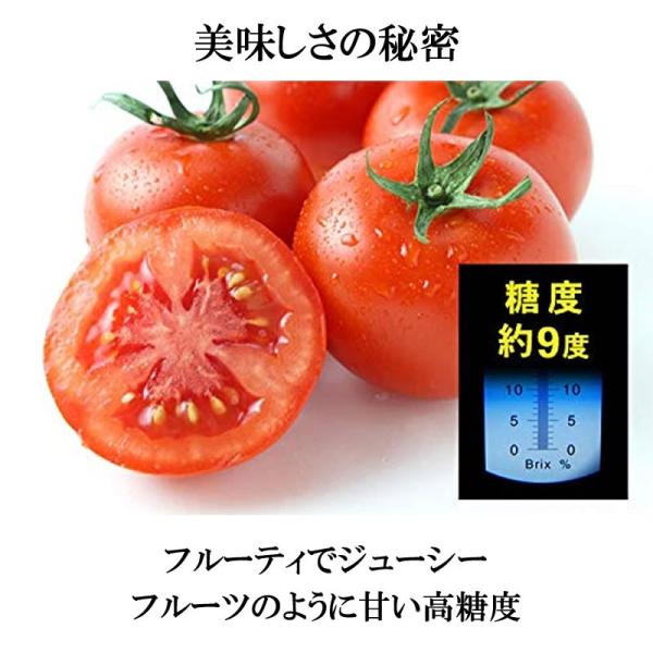 静岡県産 千果 濃縮ミニトマト 千果 ちか 有機栽培 0g 2p 5箱 リコピン 有機栽培 産直 お取り寄せ ギフト ギフト 贈り物 条件付き送料無料 Kwmy Tomat 0400 Gf 005 けんこう畑