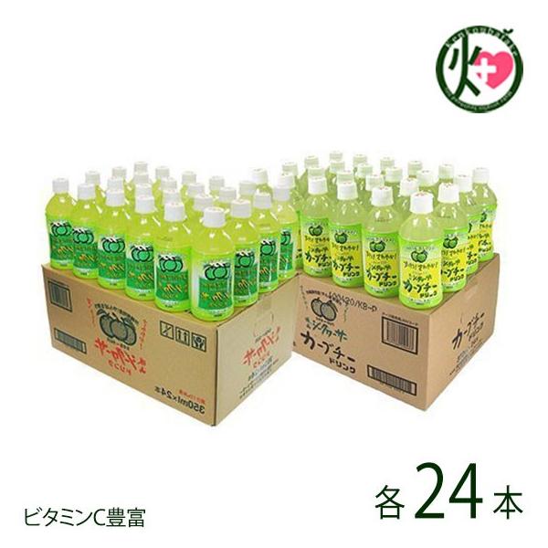 V[N[T[ &amp; J[u`[ hNZbg 350ml×e24{ RV[N[T[  mr`