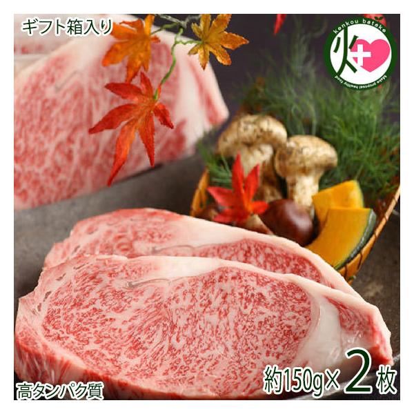 Mtg TRX O A5 T[C Xe[Lp 150g×2 a ґ  r^~B2