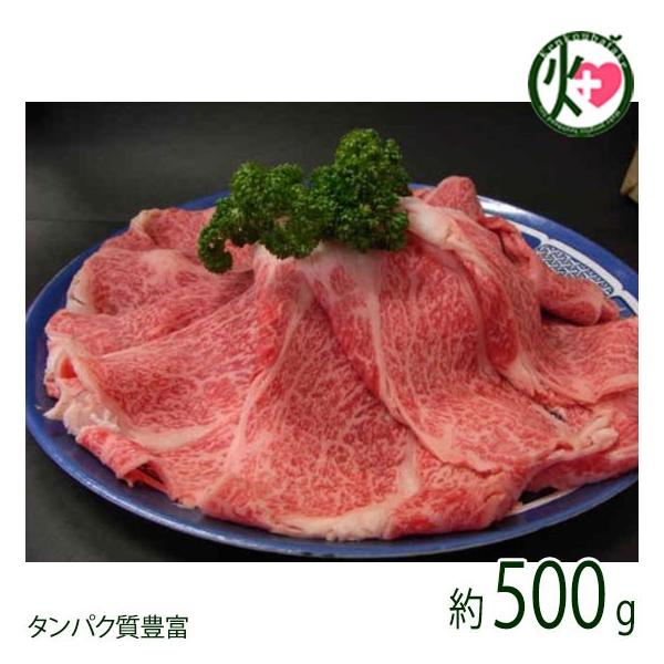 苍 A5 [X ԂԁEĂp ~ 500g(2-3lO) {Zp Mtg x