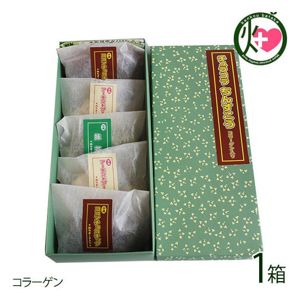 Mtg  R[Q 񂷂 RRA A[h RRic  4 6 v5 [t[Y  yY َq R[Q