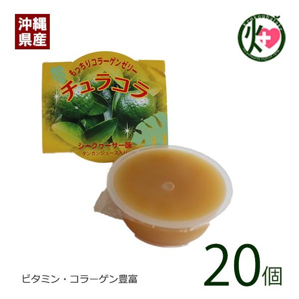 `R (R[Q[[) V[N[T[ 20Zbg (2×10) [t[Y  yY F  r^~