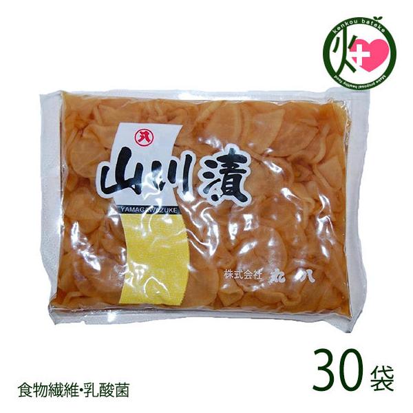 R 180g×30 ۔  yY y Y̊卪gp Ђ H@ہE_