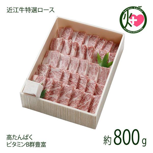 Mtg ߍ]I [X o ēp 800g X  yY lC   ꌧYߍ] ς r^~BQLx