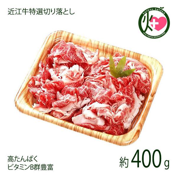 Mtg ߍ]I ؂藎Ƃ   Ef o~bNX 400g X  yY lC   ꌧYߍ] ς