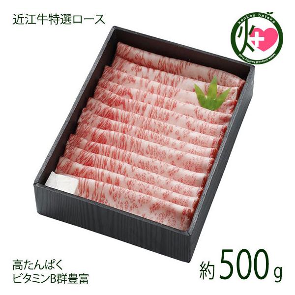 Mtg ߍ]I [X Ă 500g X  yY lC   ꌧYߍ] ς r^~BQLx