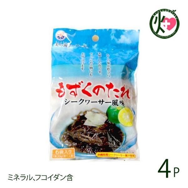 ̃^ ܃pbN 120g(20g×6)×4 tRC_ 厡オfÏ ̉ƒ̈w mr`