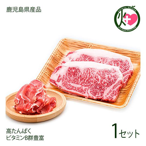 YјaA5[XXe[L 250g×2 Yؐn 100g Y a Y