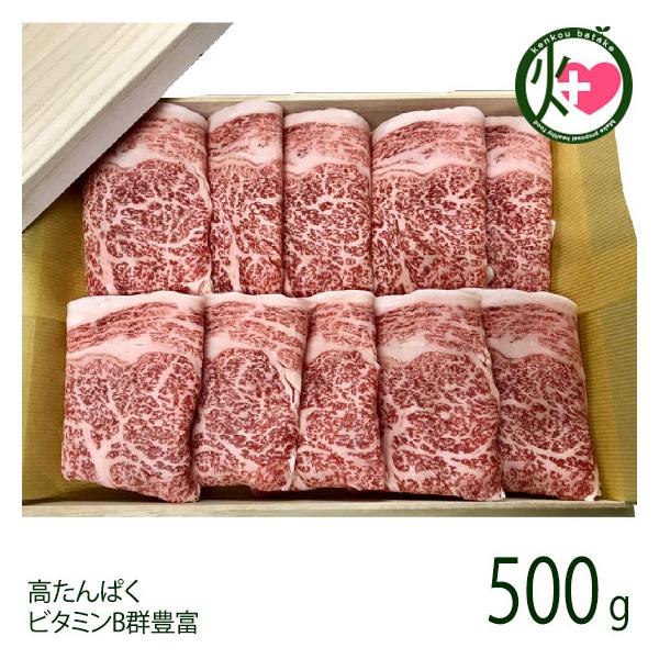 YјaA5[X500g {Y  a  i Ă ς r^~BQLx