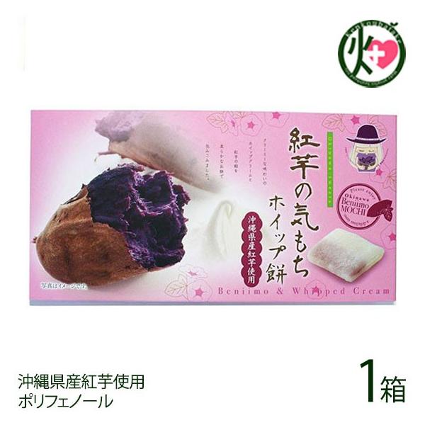 g̋C zCbv 10×1 앗 ꌧYgA(߂ނ炳)  yY |tFm[