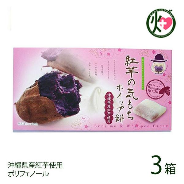 g̋C zCbv 10×3 앗 ꌧYgA(߂ނ炳)  yY |tFm[