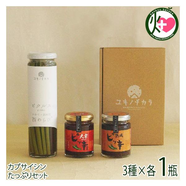 Mtg уsNX&amp;h傤 MtgZbg aYƌ 茧 yY   Е ܂ 蕨 JvTCV