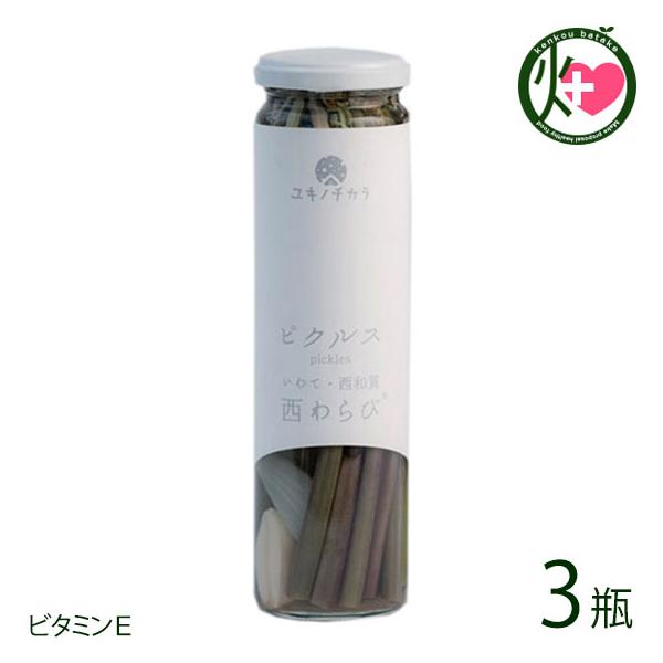 Mtg Lm`Jт̃sNX 120g×3r aYƌ 茧 yY  msNX LŃXpCV[ wV[