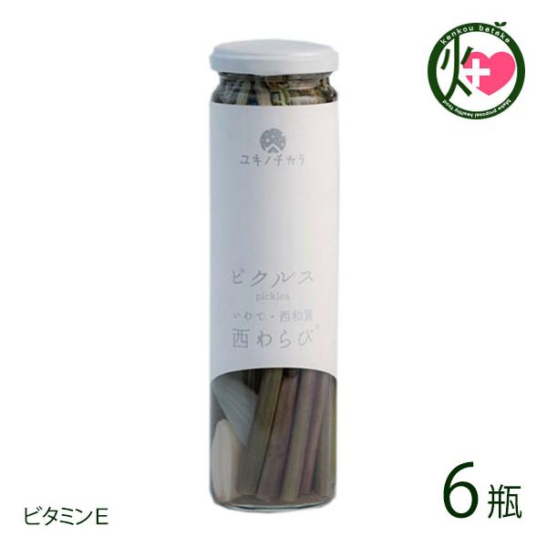 Mtg Lm`Jт̃sNX 120g×6r aYƌ 茧 yY  msNX LŃXpCV[ wV[