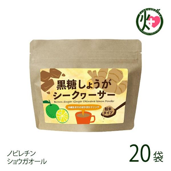 傤V[N[T[120g×20 MюA  lC  yY ^CṽhN mr` VEKI[