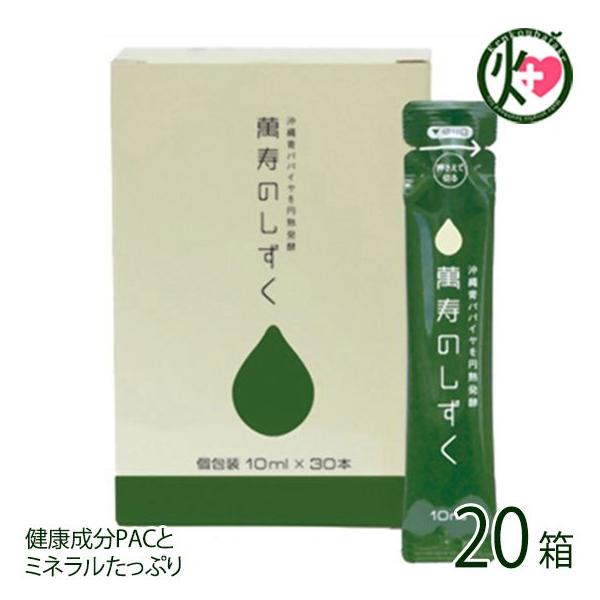 ݎ̂ tbVpbN 1P[X(30×20)  hN ppC mJ[ ~l NǗ