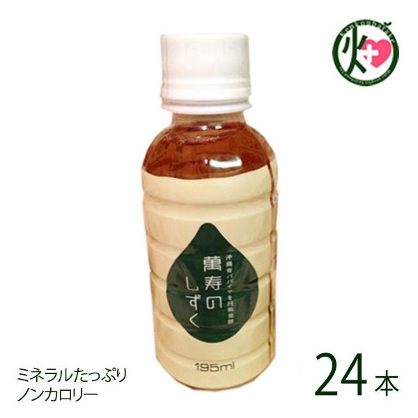 ݎ̂ 195ml 1P[X(24{)  hN ppC mJ[ ~l NǗ