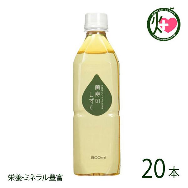 ݎ̂ 500ml 1P[X(20{)  hN ppC mJ[ ~l NǗ