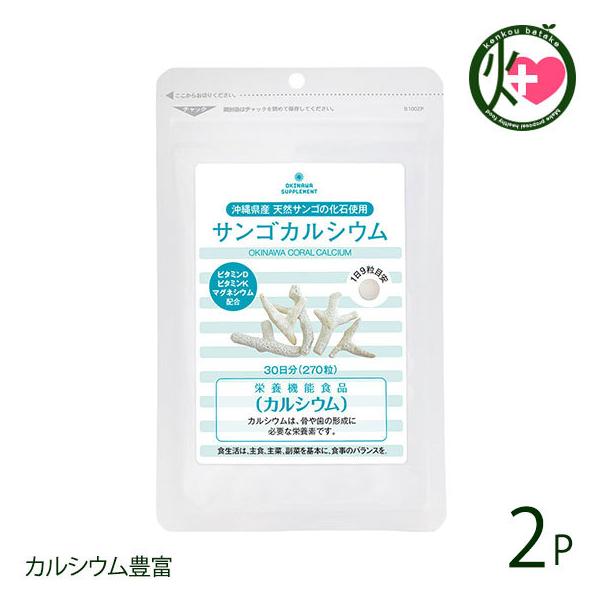 TSJVE 270×2P MюA  yY NHi r[yvX Nێ JVELx