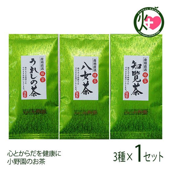 ̏쉀 3_Zbg  m 쒃 {lߍ킹 Y Y t { SƂ炾N 쉀̂