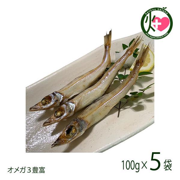  LX 100g×5܃Zbg xX cs g  DHA EPA