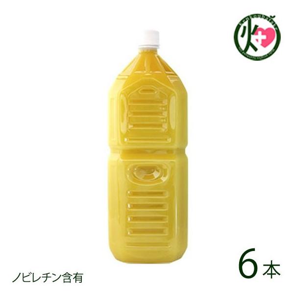 Ɩp ꌧY100% V[NT[ 2L()×6{ ILn  lC 厡オfÏ ̉ƒ̈w A pA mr`