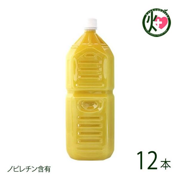 Ɩp ꌧY100% V[NT[ 2L()×12{ ILn  lC 厡オfÏ ̉ƒ̈w A pA mr`