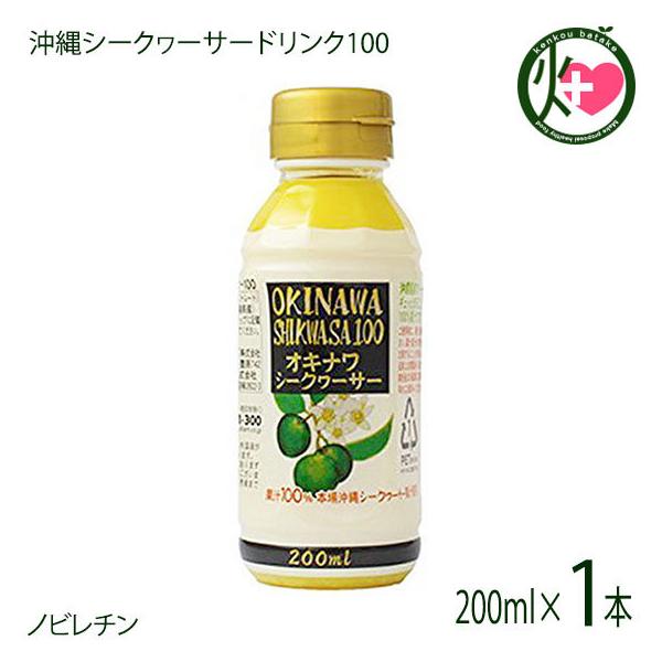 ILi V[N[T[ 100 200ml×1{ ILn  yY 썑t[c V[N[T[ mr`