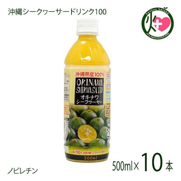 ILi V[N[T[ 100 500ml×10{ ILn  yY 썑t[c V[N[T[ mr`