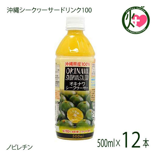 ILi V[N[T[ 100 500ml×12{ ILn  yY 썑t[c V[N[T[ mr`