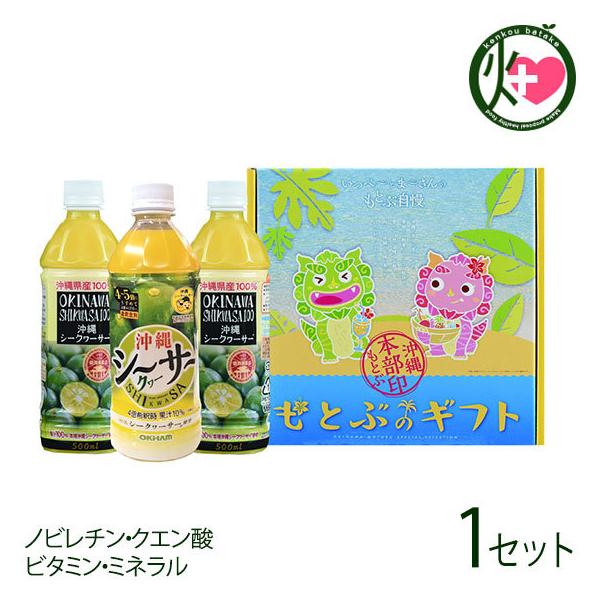 Mtg V[N[T[100%E4{߃V[N[T[Zbg ILn  lC yY ꌧYV[N[T[ W[X mr` NG_