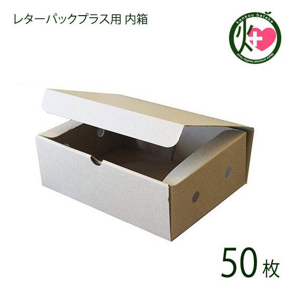 kenko-batake_olbg-ltppb-0000- kenko-batake_olbg-ltppb-0000-