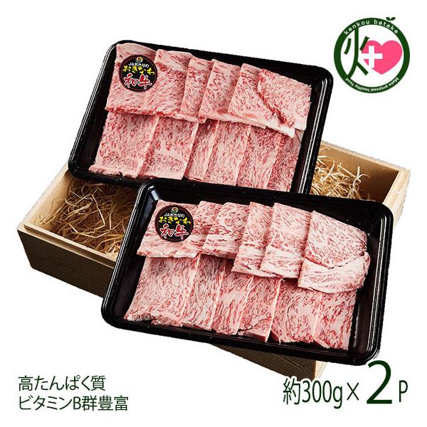 Mtg  Ȃa u[X ē 300g×2P   yY ꌧY Y  p 蕨 ς