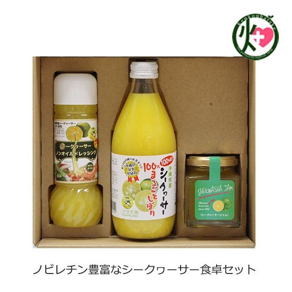 V[N[T[ HZbg V[N[T[ 100܂邲Ƃڂ hbVO W }S _ Mtg i