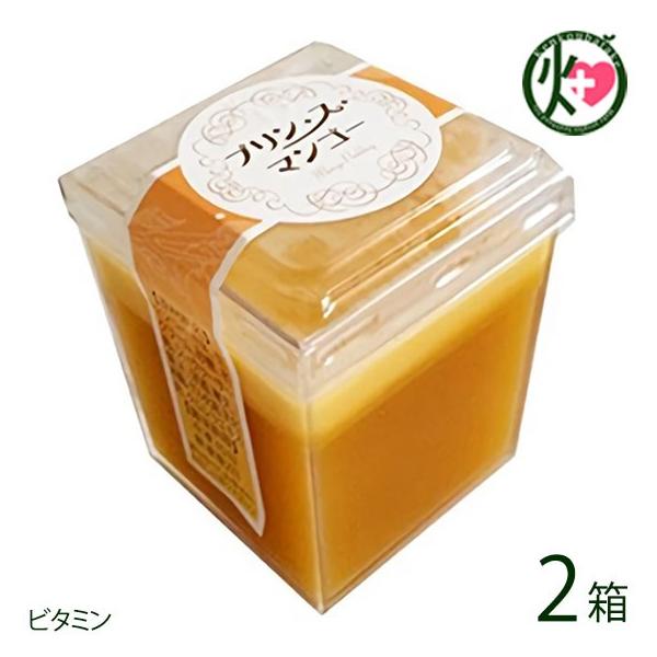 vEXE}S[ (ƒp) 12×2 CG^[eCg  lC XC[c 썑t[c n