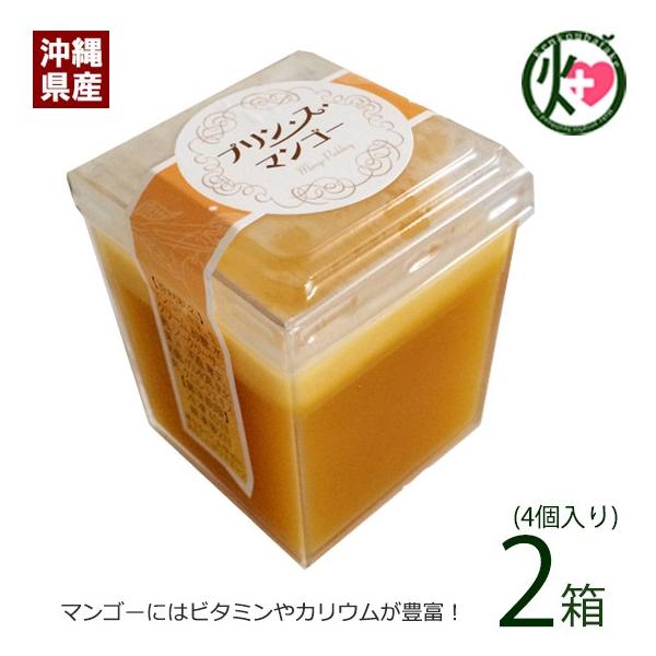 Mtg vEXE}S[ 4×2  yY lC n 썑t[c XC[c i