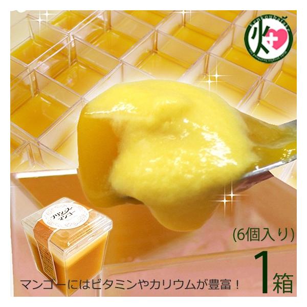 Mtg vEXE}S[ 6×1  lC XC[c 썑t[c n yY