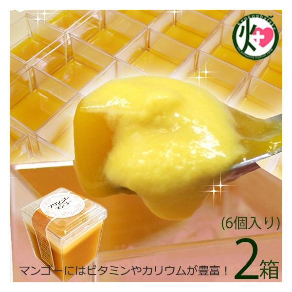 Mtg vEXE}S[ 6×2  yY lC XC[c 썑t[c n