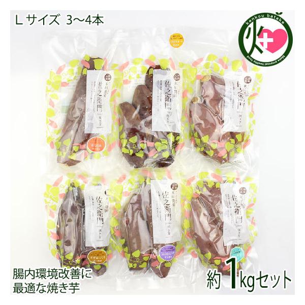 iĂ kTCY 1kgZbg 3`4{ Hה׃Zbg Đ_Vq 錧 yY ⓀĂ ₫ œKȏĂ