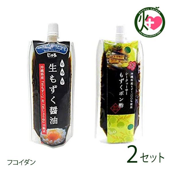 YN2Zbg ݖ V[N[T[||×2Zbg AƋg  yY 