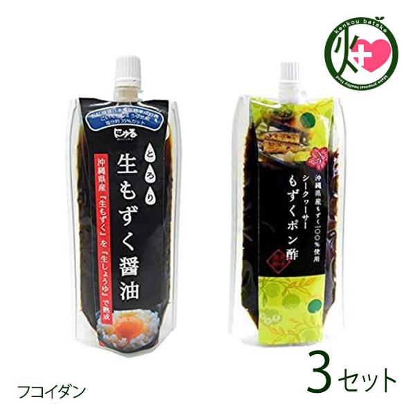 YN2Zbg ݖ V[N[T[||×3Zbg AƋg  yY 