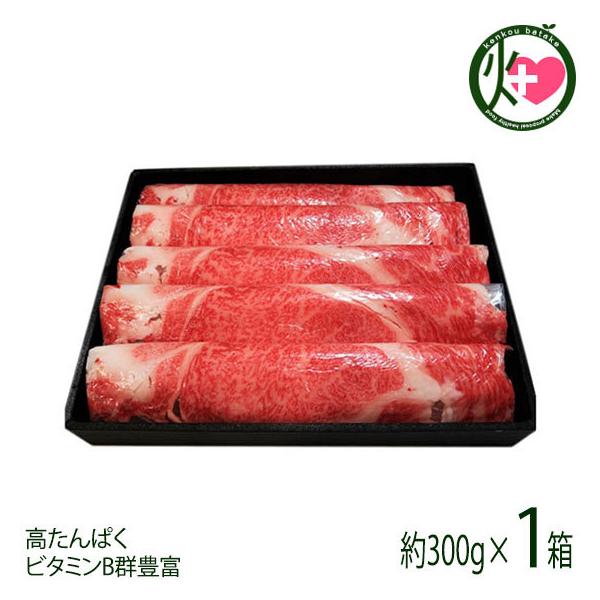  ݋ Ă2`3lOi300gj k 茧 ksY јa uh Ă  v[g Mtg 