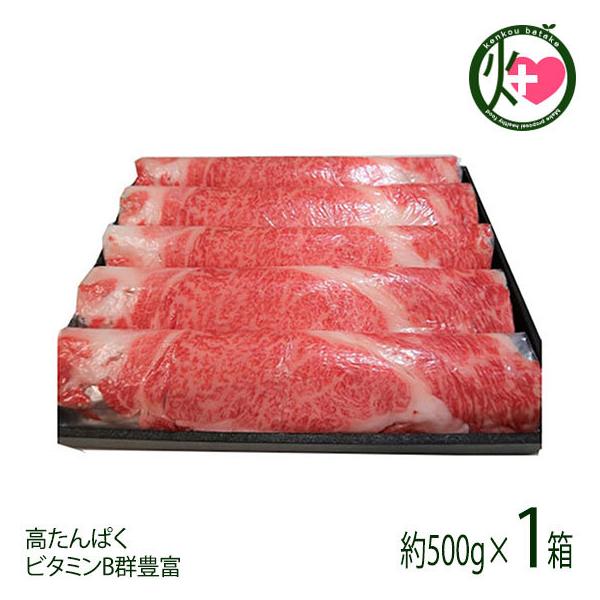  ݋ Ă4`5lOi500gj k 茧 ksY јa uh Ă  v[g Mtg 