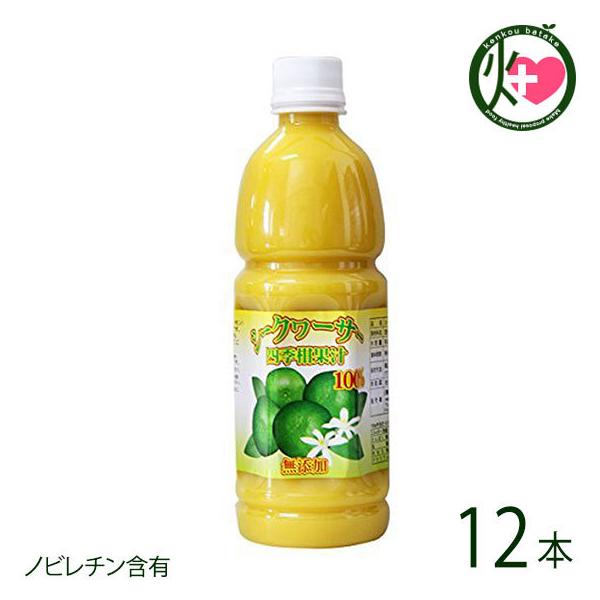 ΂鏤 V[N[T[ lG Zkʏ`100% 500ml×12{ 